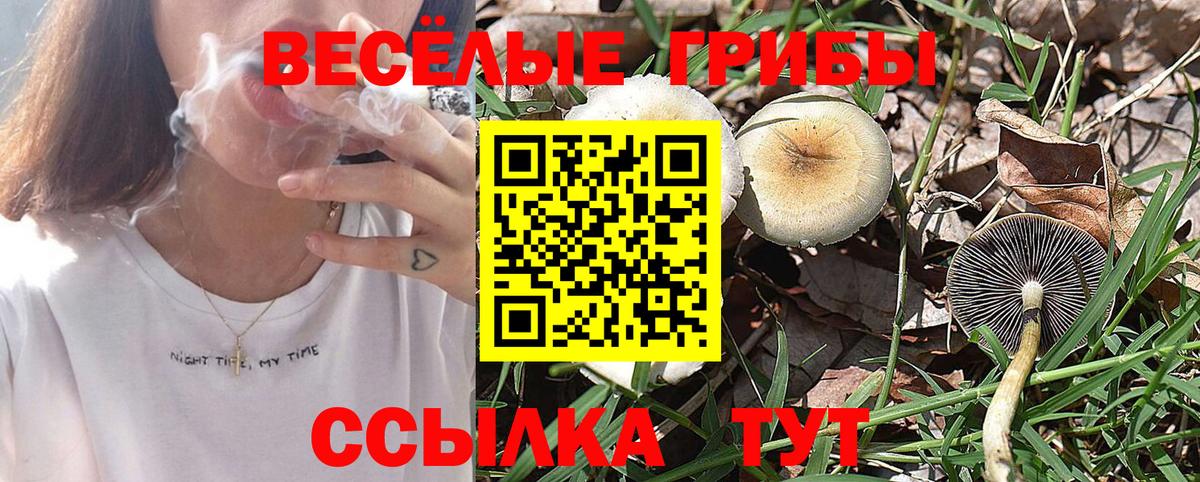 Псилоцибиновые грибы мухоморы Пугачёв
