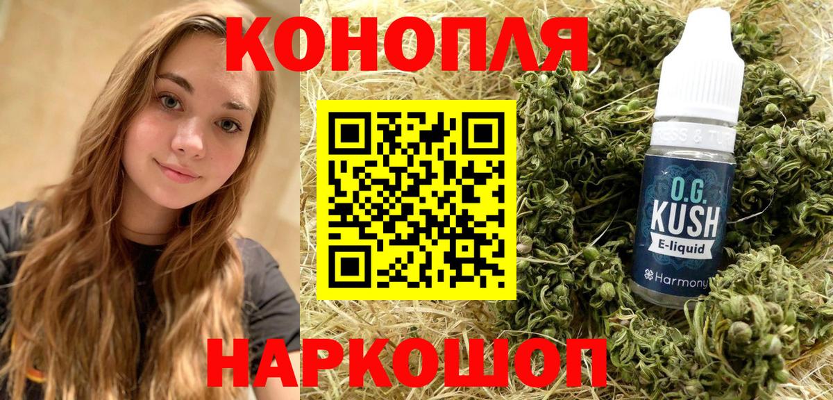 Конопля индика Пугачёв